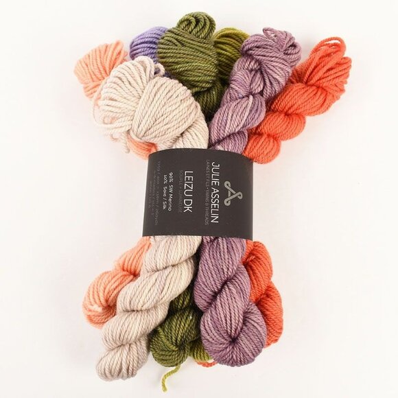 Julie Asselin Leizu DK Mini Skein Yarn Bundle Merino Silk Blend Garden Party - Picture 1 of 4